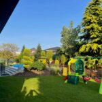 Jak se nejlépe starat o trávník na zahradě