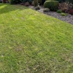 Vertikutace od A-Z aneb TOP trávník celý rok