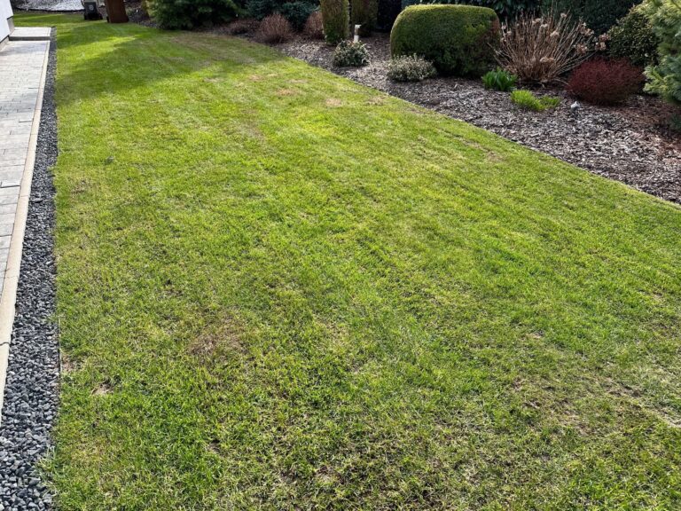 Vertikutace od A-Z aneb TOP trávník celý rok