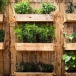 10 Tipů na vertikální zahradu: Od A do Z