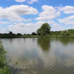 Rybník Hrušov: Ráj pro rybáře 5 km od Prahy