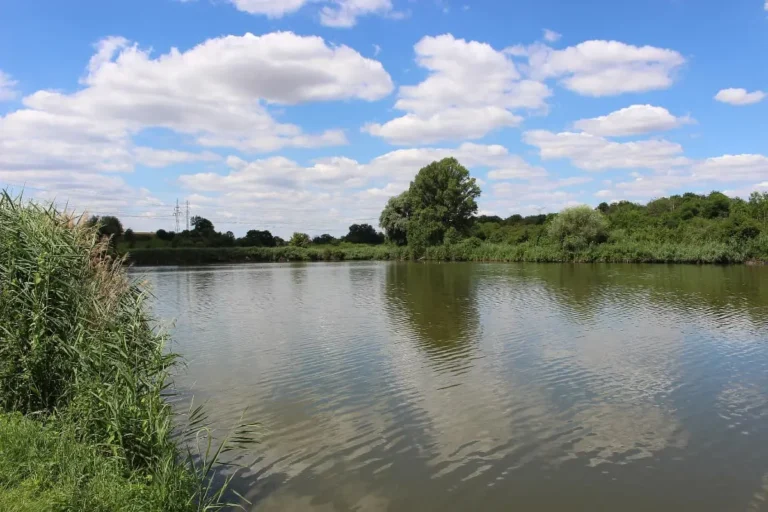 Rybník Hrušov: Ráj pro rybáře 5 km od Prahy