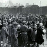 Seznam koncentračních táborů: Peklo na zemi!