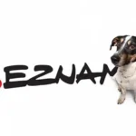 Jak se chránit před sledováním a reklamami na Seznam.cz