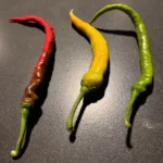 Chilli papričky: Když kamarádka (ne)ví, co je to pálivé