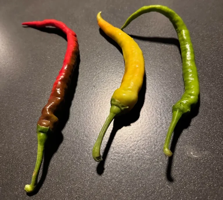 Chilli papričky: Když kamarádka (ne)ví, co je to pálivé