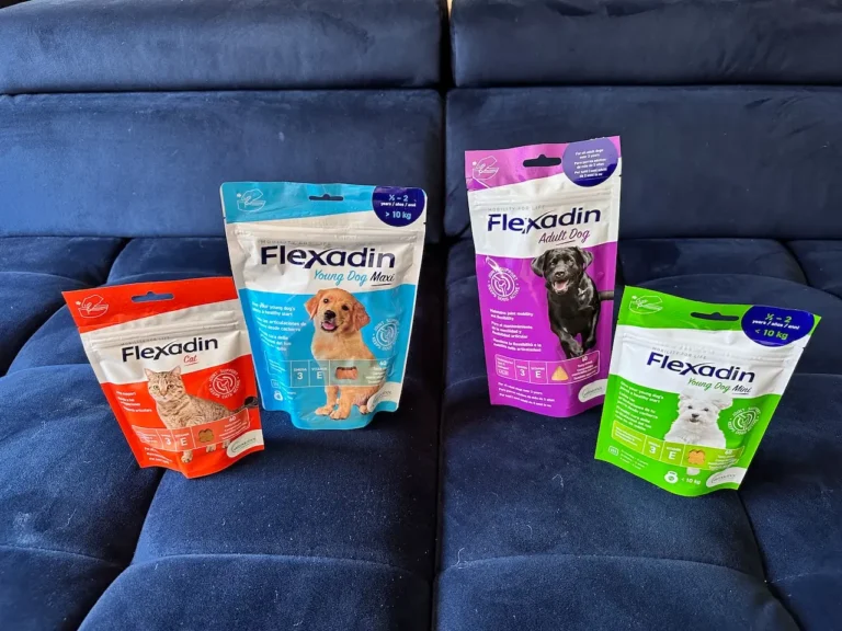 Flexadin 4Life: Maira 18 let je zase jako štěně! Dobrá miska