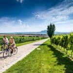 7 denní výlet na kole kolem Brna: Objevujte Moravu +- 240 km