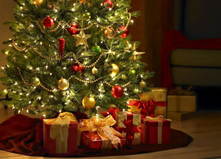 Jaký vánoční stromeček letos? Živý nebo umělý, výhody/ne…