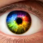 20 zajímavostí a faktů o barvě očí, které vás překvapí 😮 👀