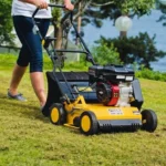 Vertikutace trávníku: Kdy a jak ji provést správně? Návod