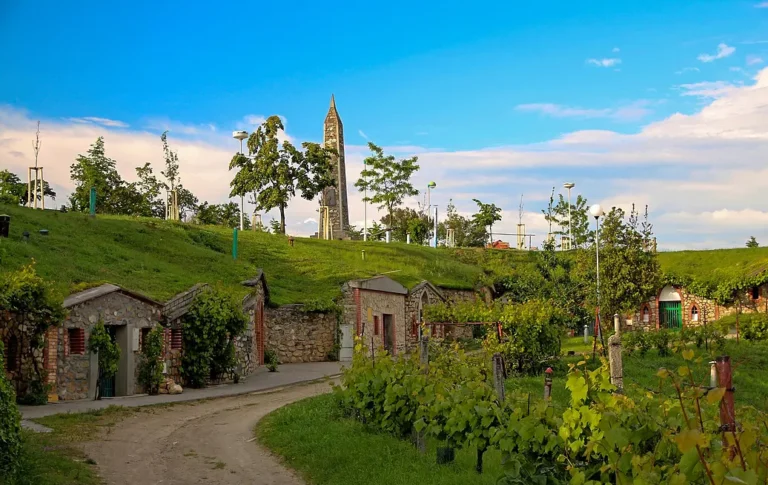 Nejlepší gastro výlety za dobrým vínem a pivem po Česku