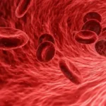 Lidská krev od A do Z: Proud života v našich žilách 🩸