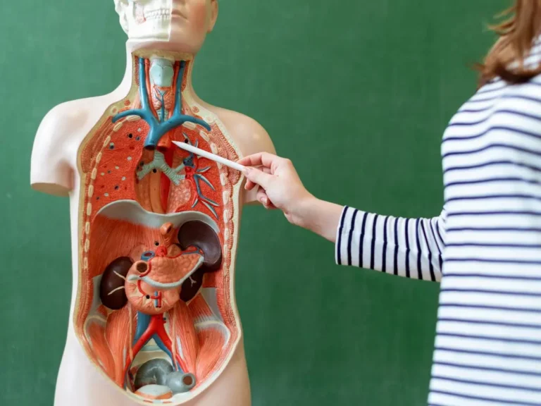 15 úžasných faktů o lidském těle, které vás překvapí!