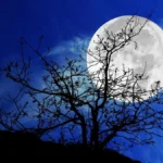 Kalendář úplňků 2025: Měsíc, Emoce, Astrologie