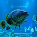 Orientarium ZOO v Lodži: Exotika, zážitky a rekordman 🌴🐘🐟