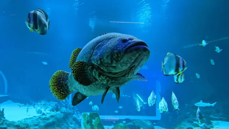 Orientarium ZOO v Lodži: Exotika, zážitky a rekordman 🌴🐘🐟