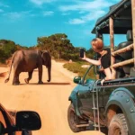 Luxusní safari v Africe: Saadani a Zanzibar 🦒🐊🐘