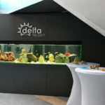 Delta Reisen: Kompletní recenze této CK, výhody a zkušenosti