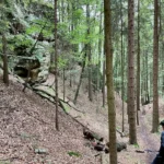 Kokostezky Kokořínsko: Nejlepší přírodní traily v Česku?