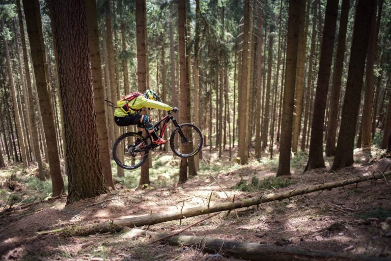 Nejlepší traily na Kokostezkách: Tipy, které musíte znát!