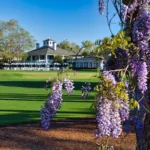 Golf Masters Tournament 2025: Augusta je neskutečná ❤️ !