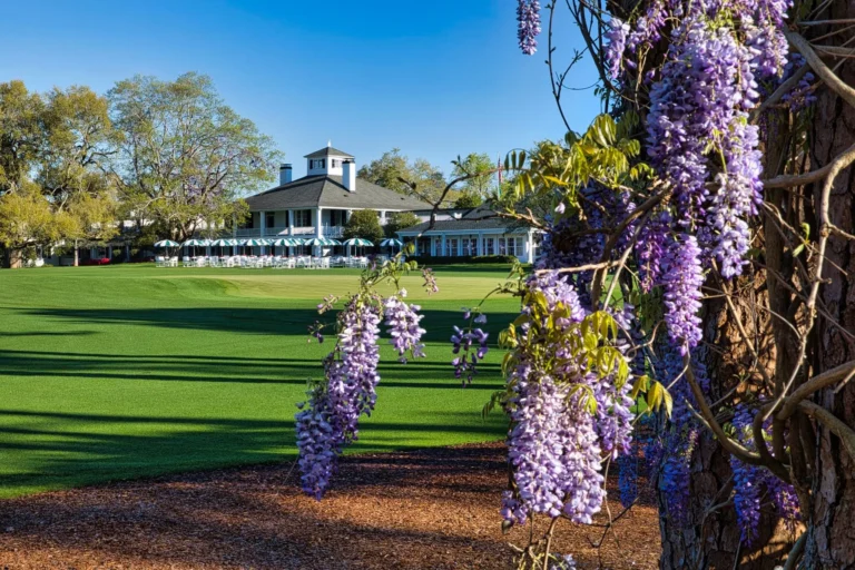 Golf Masters Tournament 2025: Augusta je neskutečná ❤️ !