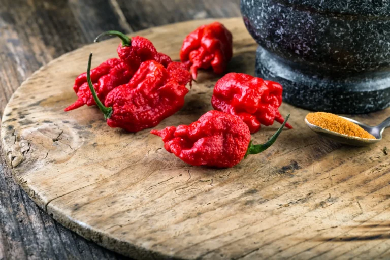 Nejlepší pálivé chilli papričky: Pěstování, druhy, pálivost