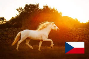 ČR jako bílý kůň aneb kauza Jiříkovský a Bitcoiny: Co se stalo a kdo nese odpovědnost?