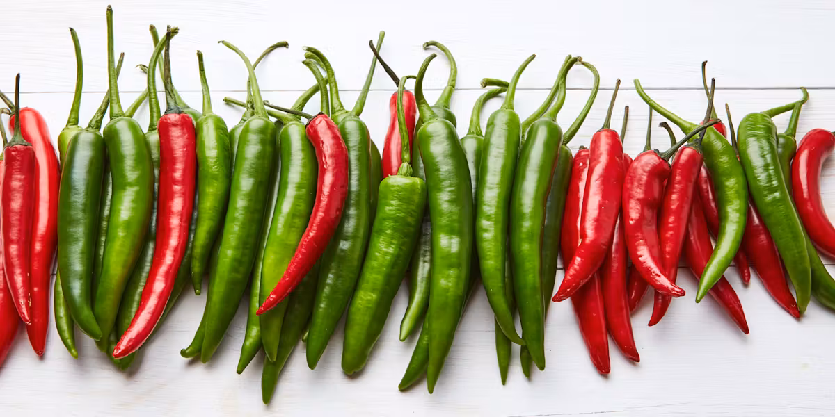 Jalapeño – klasika mezi mírně pálivými papričkami. Masitá, šťavnatá a ideální do tacos, salsy i na gril.