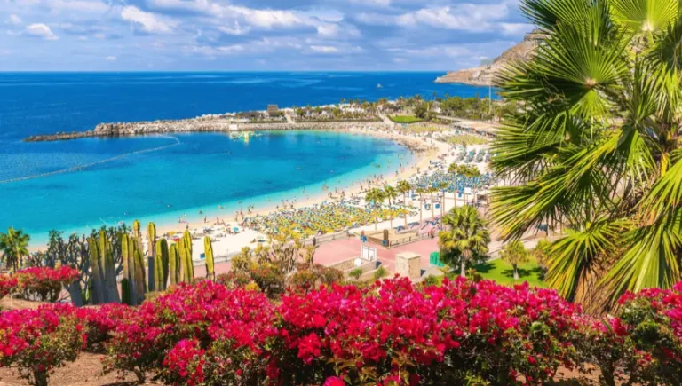 Jak sledovat OnePlay na Kanárských ostrovech? Takhle na to!