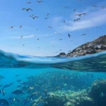 9 tajemství o hlubinách oceánu: Tvorové jako z hororu