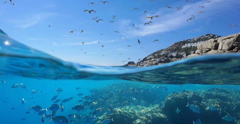 9 tajemství o hlubinách oceánu: Tvorové jako z hororu