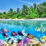 Cookovy ostrovy: Nedotčený ráj a laguny v jižním Pacifiku 🔆