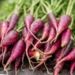 Fialová mrkev, arašídy nejsou ořechy a kečup jako lék. Fakt?