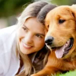 Srovnání pojištění mazlíčků: PetExpert a konkurence: Vítěz?