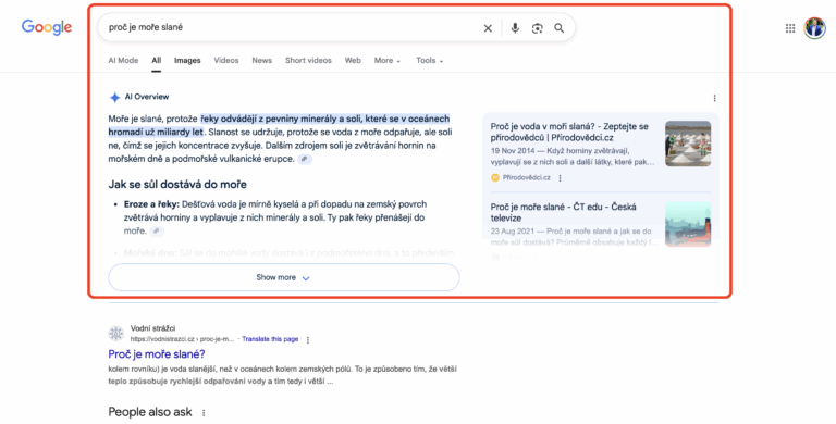 Jak vypnout Google AI overview: 9 ověřených triků + Návod