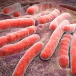 Léčba TBC za 100 let: Od sanatorií po moderní antibiotika