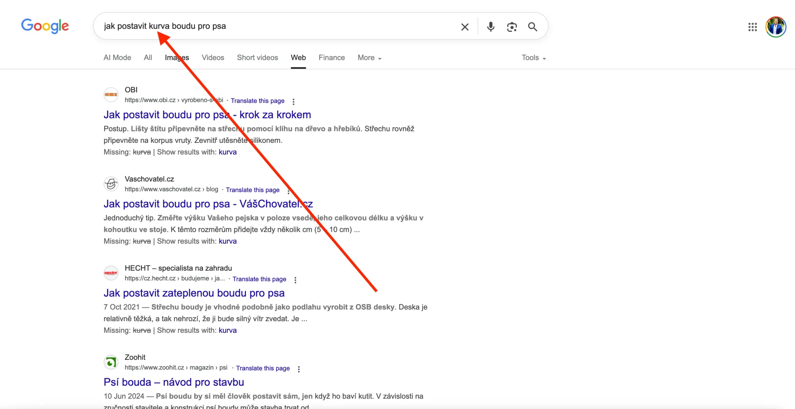 Vyhledávání na Googlu s dotazem „jak postavit kurva boudu pro psa“. Záměrné použití sprostého slova pro vypnutí AI přehledu, zobrazený je klasický seznam odkazů bez AI odpovědi.