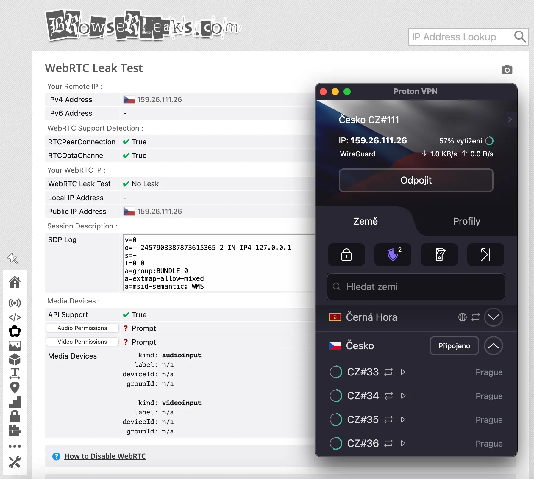 Test WebRTC a DNS úniků – ProtonVPN bez jakéhokoli leak