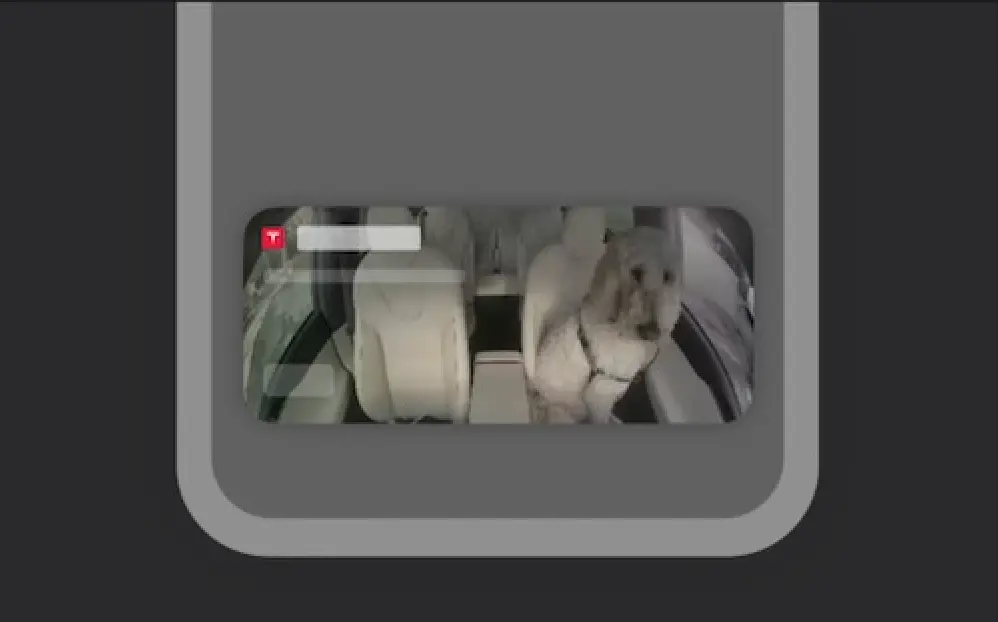 Psí režim Dog Mode | Venclíkovi.cz