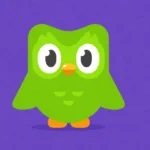 Nejlevnější předplatné Duolingo: Kde ho koupit, ušetříte vážně až 80%?